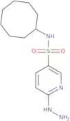 N-Cyclooctyl-6-hydrazinylpyridine-3-sulfonamide
