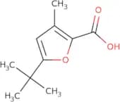 5-tert-Butyl-3-methylfuran-2-carboxylic acid