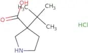 3-tert-Butylpyrrolidine-3-carboxylic acid hydrochloride