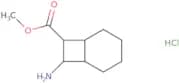 Methyl 8-aminobicyclo[4.2.0]octane-7-carboxylate hydrochloride