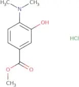 Methyl 4-(dimethylamino)-3-hydroxybenzoate hydrochloride