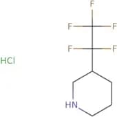 3-(Pentafluoroethyl)piperidine hydrochloride