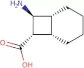 rac-(1R,6S,7S,8S)-8-Aminobicyclo[4.2.0]octane-7-carboxylic acid
