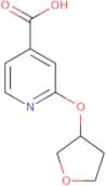 2-(Oxolan-3-yloxy)pyridine-4-carboxylic acid