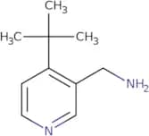 (4-tert-Butylpyridin-3-yl)methanamine