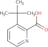 3-tert-Butylpyridine-2-carboxylic acid