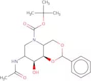 2-Acetamido-4,6-O-benzylidene-N-Boc-1,2,5-trideoxy-1,5-imino-D-glucitol