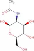 N-Acetyl-D-mannosamine