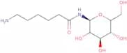 N-(e-Aminocaproyl)-a-D-galactopyranosyl amine