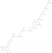 2-Acetamido-2-deoxy-D-galactopyranose diphospho undecapyrenyl