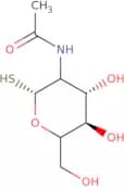 2-Acetamido-2-deoxy-a-D-thiogalactopyranose
