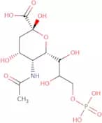 N-Acetylneuraminic acid 9-phosphate