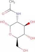 N-Acetyl-α-D-glucosamine