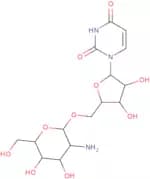 5'-O-(2-Amino-2-deoxy-b-D-glucopyranosyl)-uridine