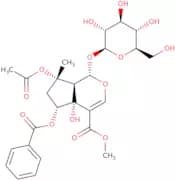6-O-Benzoylphlorigidoside B