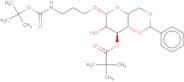 (3-N-Boc-aminopropyl) 4,6-O-benzylidene-3-O-pivaloyl-b-D-galactopyranoside