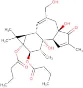 Phorbol 12,13-dibutyrate