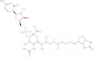 CMP-N-acetylneuraminic acid 9-sp-biotin