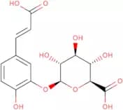 Caffeic acid 3-O-β-D-glucuronide