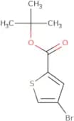 tert-Butyl 4-bromothiophene-2-carboxylate