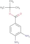 tert-Butyl 3,4-diaminobenzoate