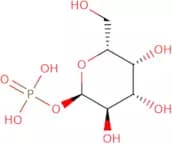 α-D-Galactose-1-phosphate