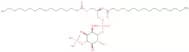 1,2-Dipalmitoyl phosphatidylinositol 4-phosphate ammonium salt