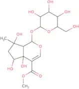 6Beta-Hydroxyipolamiide