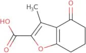 3-Methyl-4-oxo-4,5,6,7-tetrahydro-benzofuran-2-carboxylic acid