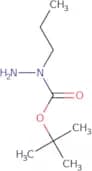 N-Propyl(tert-butoxy)carbohydrazide