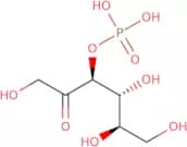 Fructose-3-phosphate sodium salt