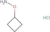 o-Cyclobutylhydroxylamine hydrochloride