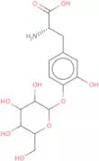 4'-O-(β-D-Glucopyranosyl)-L-DOPA