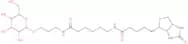 b-D-Galactose-sp-biotin
