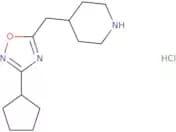 4-[(3-Cyclopentyl-1,2,4-oxadiazol-5-yl)methyl]piperidine hydrochloride