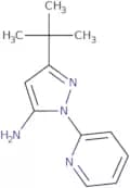 3-tert-Butyl-1-(pyridin-2-yl)-1H-pyrazol-5-amine