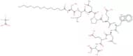Pkcβii peptide inhibitor I trifluoroacetate salt