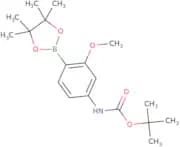 tert-Butyl N-[3-methoxy-4-(tetramethyl-1,3,2-dioxaborolan-2-yl)phenyl]carbamate
