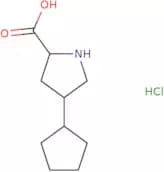 4-Cyclopentylpyrrolidine-2-carboxylic acid hydrochloride