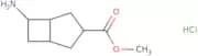 Methyl 6-aminobicyclo[3.2.0]heptane-3-carboxylate hydrochloride