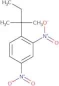 1-(2-Methylbutan-2-yl)-2,4-dinitrobenzene
