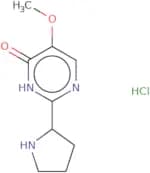 5-Methoxy-2-(pyrrolidin-2-yl)-3,4-dihydropyrimidin-4-one hydrochloride