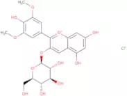 Malvidin 3-glucoside chloride