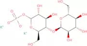 D-Maltose 1-phosphate dipotassium salt