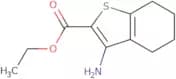 Ethyl 3-amino-4,5,6,7-tetrahydro-1-benzothiophene-2-carboxylate