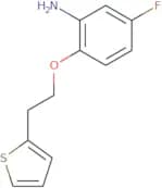 5-Fluoro-2-[2-(thiophen-2-yl)ethoxy]aniline