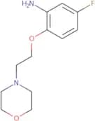 5-Fluoro-2-[2-(morpholin-4-yl)ethoxy]aniline
