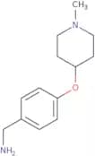 {4-[(1-Methylpiperidin-4-yl)oxy]phenyl}methanamine