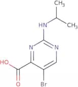 5-Bromo-2-(propan-2-ylamino)pyrimidine-4-carboxylic acid