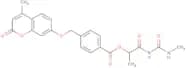 1-[(Methylcarbamoyl)amino]-1-oxopropan-2-yl 4-{[(4-methyl-2-oxo-2H-chromen-7-yl)oxy]methyl}benzoate